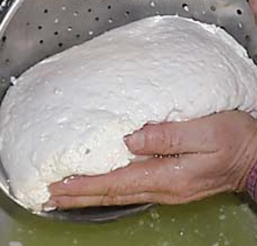 Homemade Mozzarella Magic