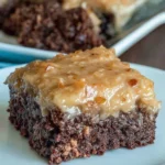 Classic Earthquake Cake