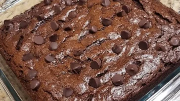 One Bowl Fudgy Cocoa Brownies