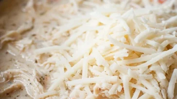 Creamy Chicken Alfredo Soup