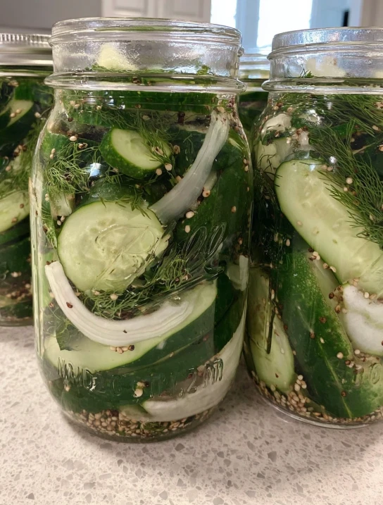 German Barrel Pickles